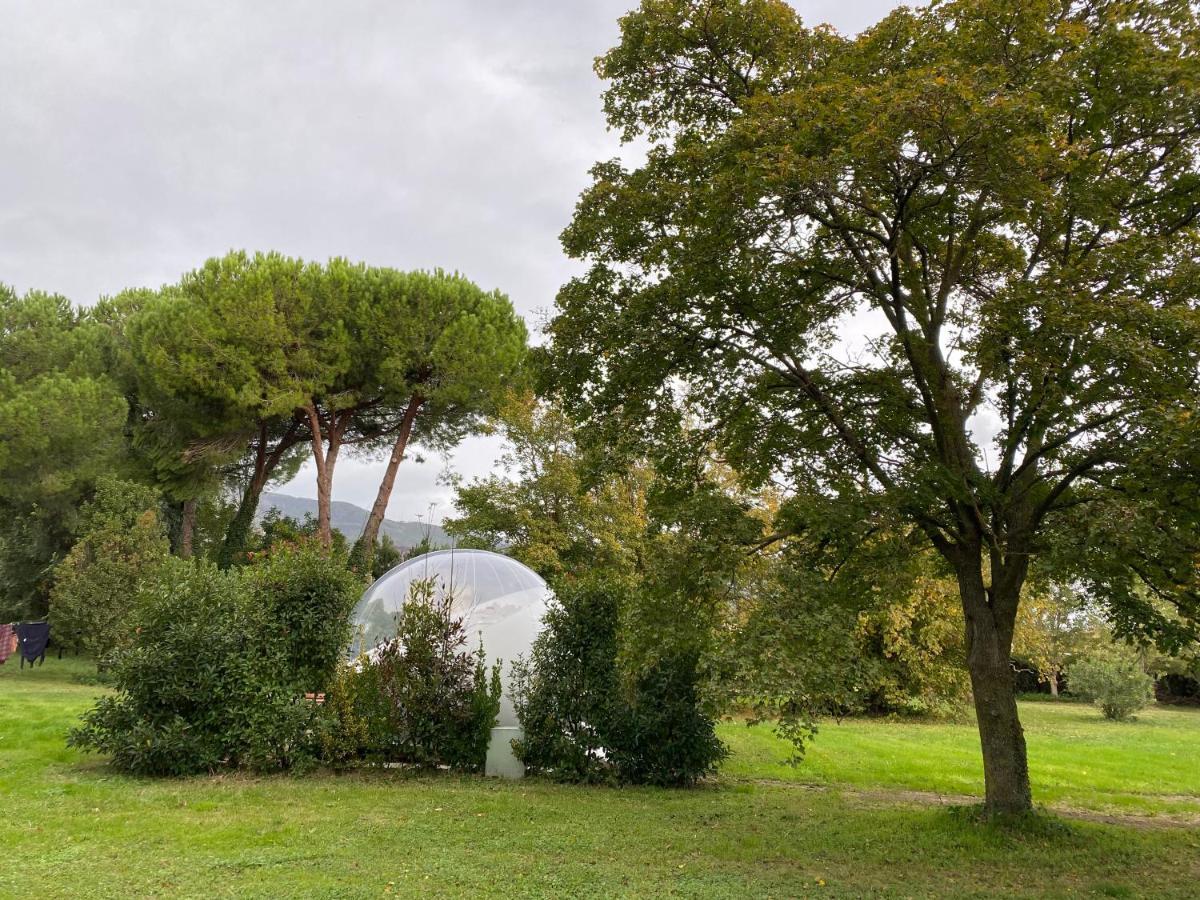 Bubble Room Under The Tuscan Stars Bubble Vicopisano Esterno foto